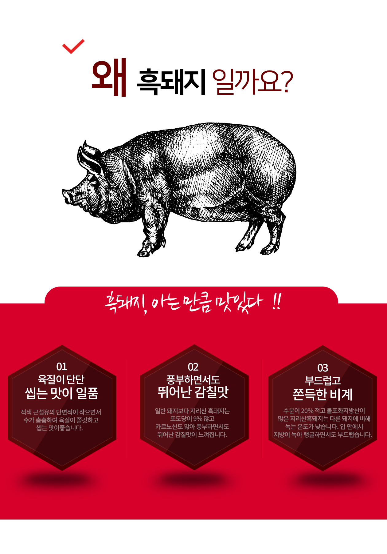 아트보드 7.jpg